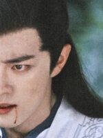 虞美人 封面