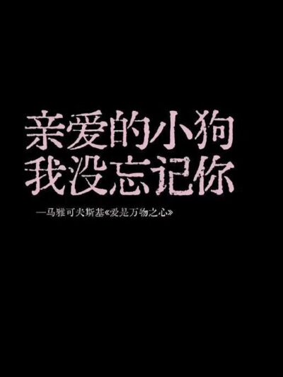 第一章 封面